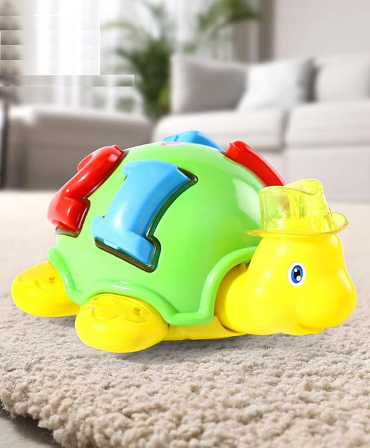 Premium Tortoise Bump and Go Toy